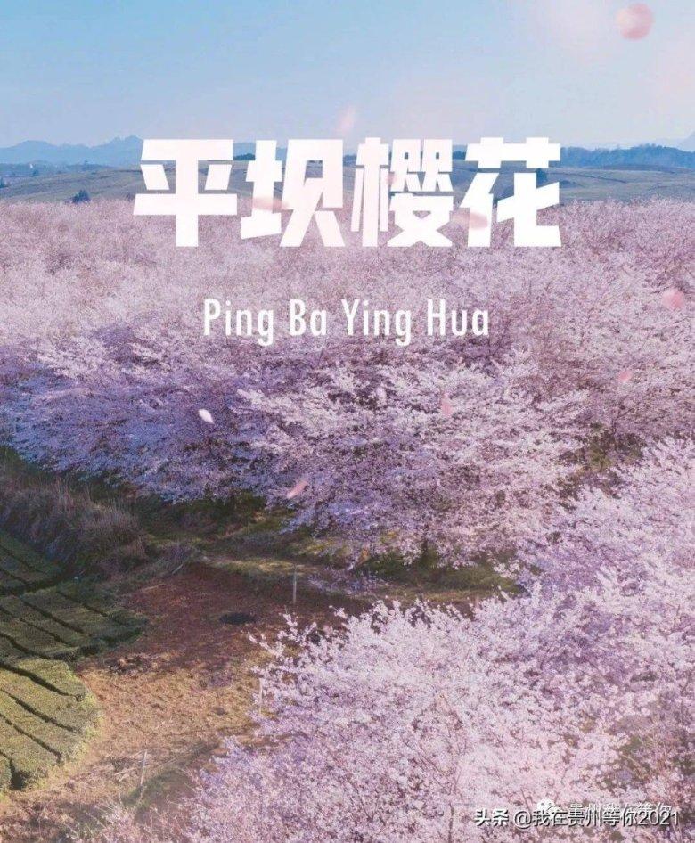三国之志2